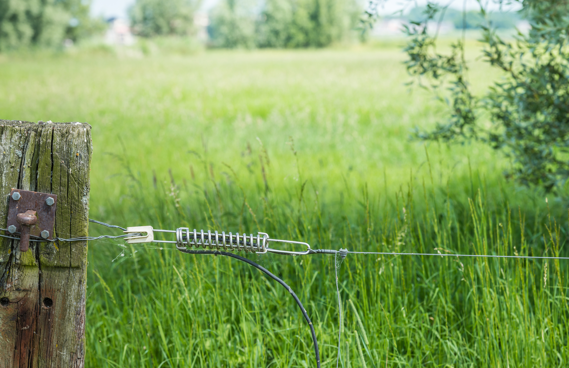 Rural Electric Fence