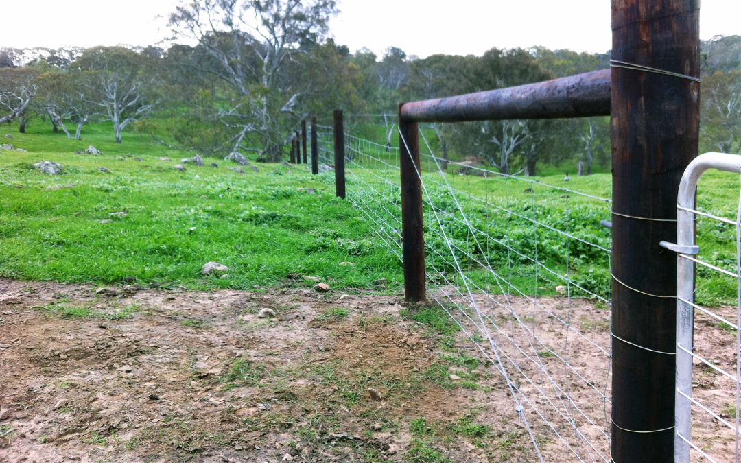 Fencing 2