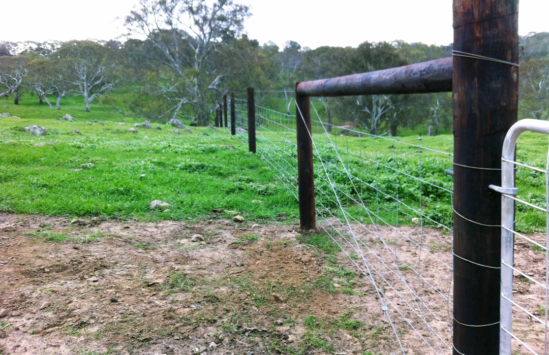 Fencing 2