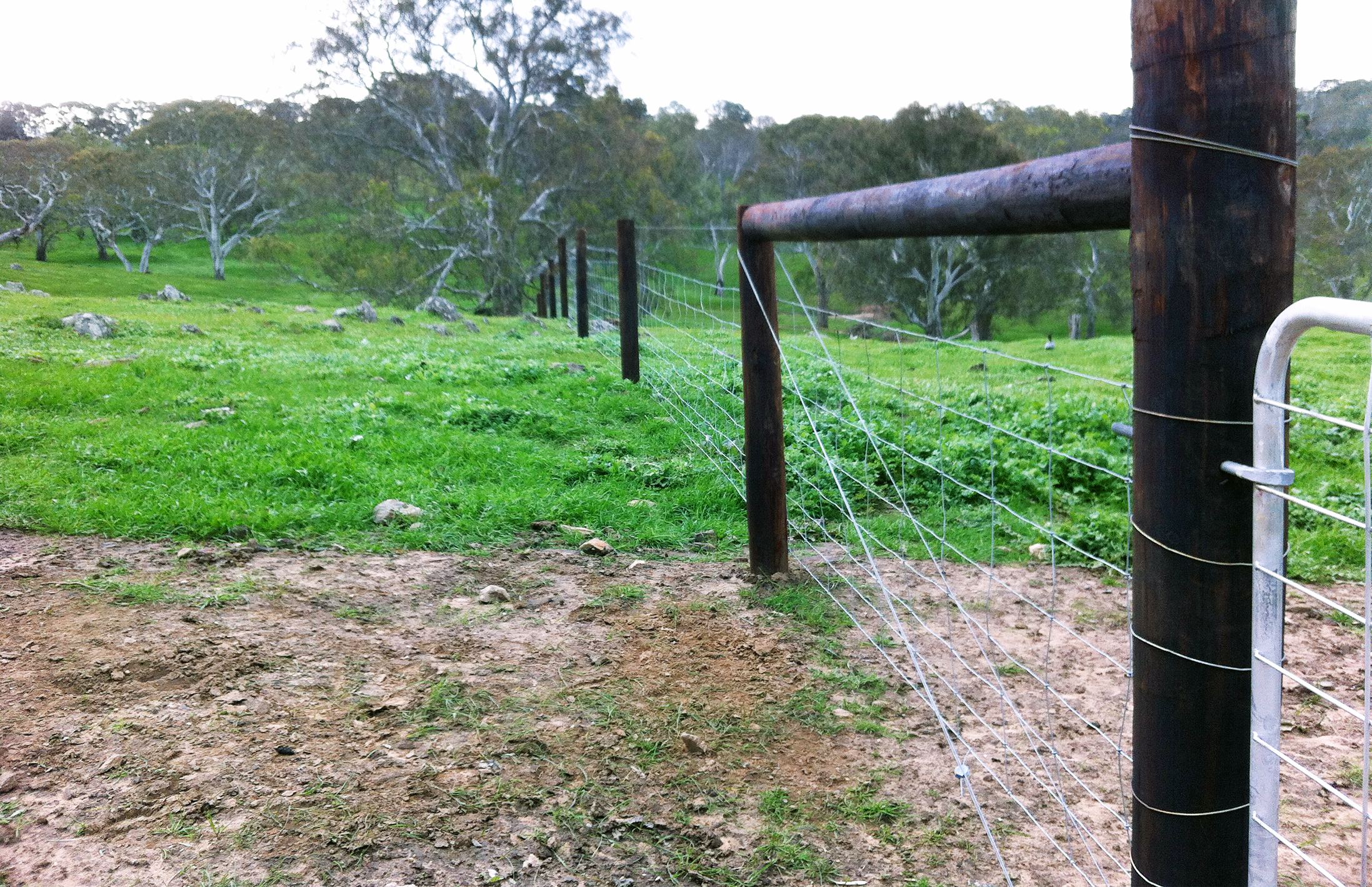 rural paddock fencing