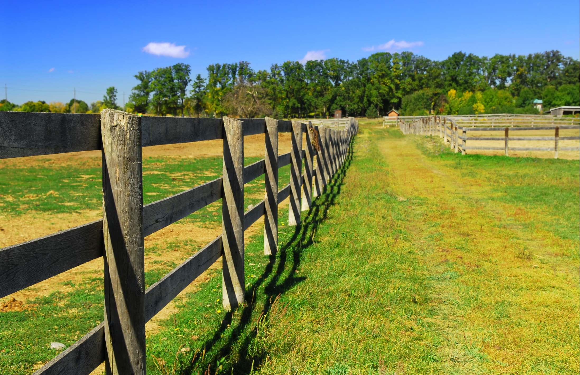 post and rail fencing